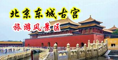 国产网红浪潮在线中国北京-东城古宫旅游风景区
